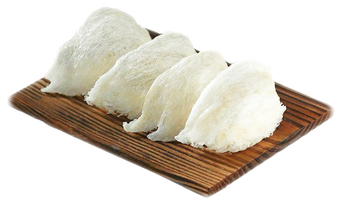 Khai thác tổ yến