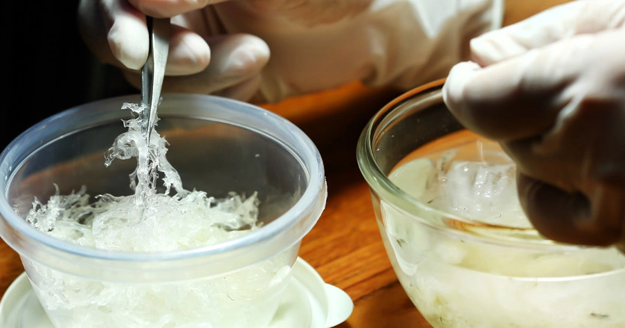 Làm sạch tổ yến