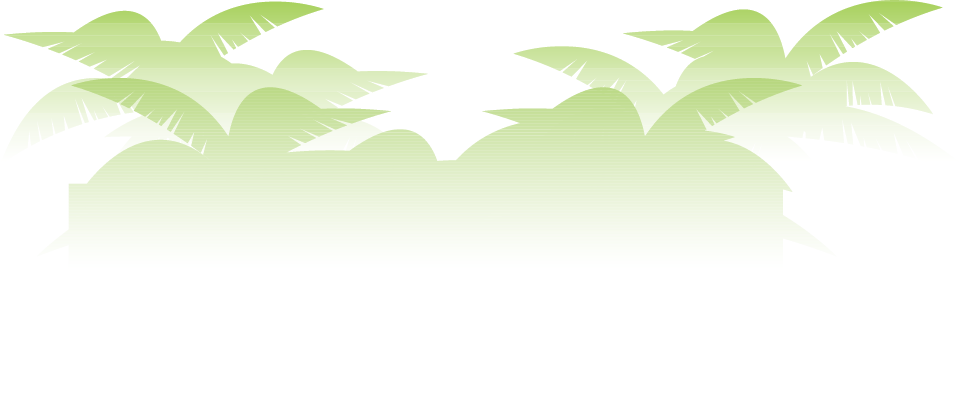 Plant Decoration